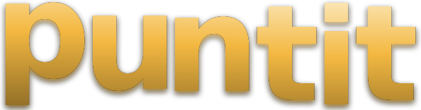 puntit logo